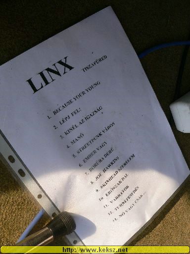050716-1049-linx.jpg
