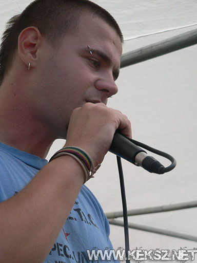 080718-1012-foul_side.jpg