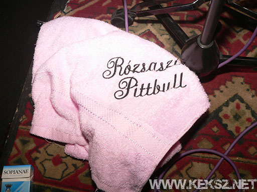 091226-1191-rozsaszin_pittbull.jpg