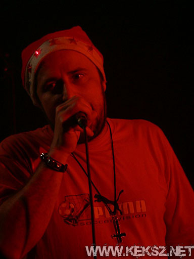 091226-1198-rozsaszin_pittbull.jpg