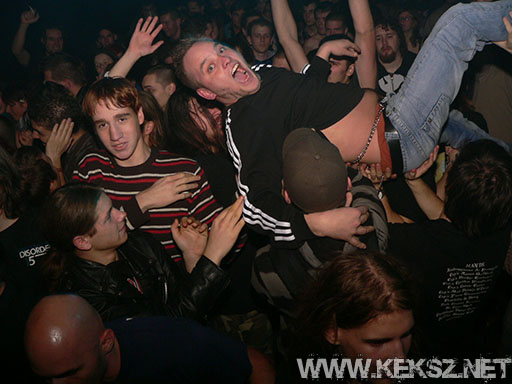 091226-1199-rozsaszin_pittbull.jpg