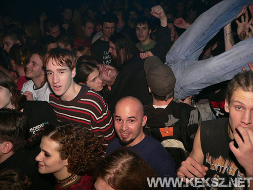 091226-1200-rozsaszin_pittbull.jpg