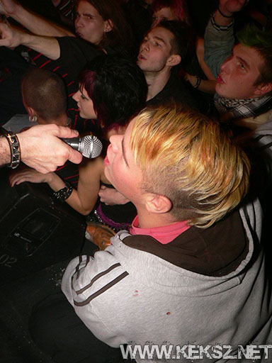 091226-1203-rozsaszin_pittbull.jpg