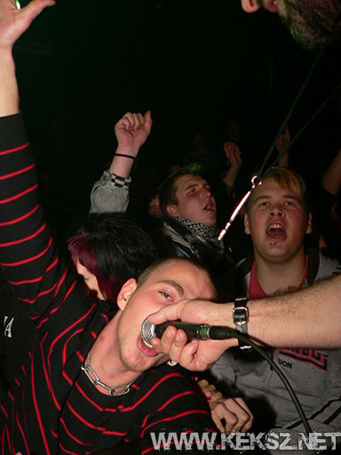 091226-1208-rozsaszin_pittbull.jpg
