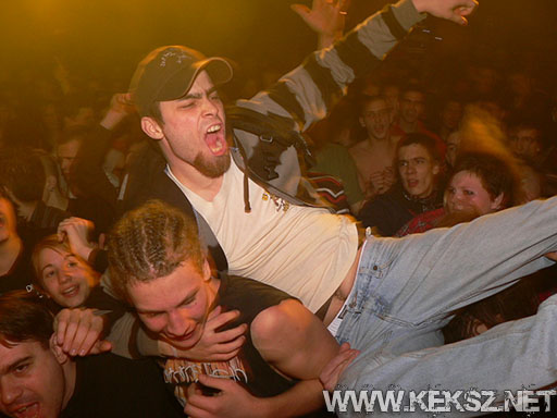 091226-1209-rozsaszin_pittbull.jpg