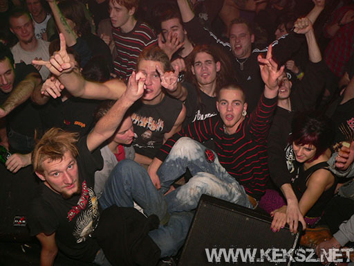 091226-1210-rozsaszin_pittbull.jpg