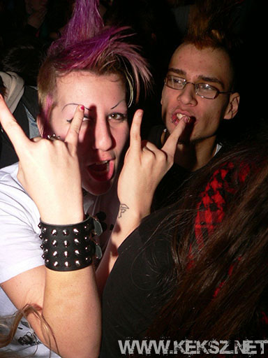 091226-1213-rozsaszin_pittbull.jpg