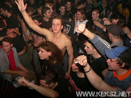 091226-1215-rozsaszin_pittbull.jpg