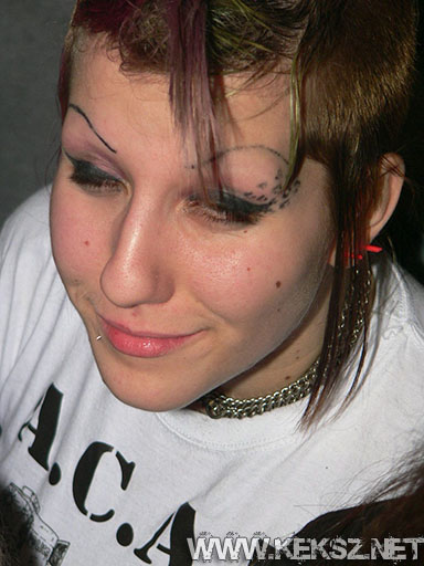 091226-1220-rozsaszin_pittbull.jpg