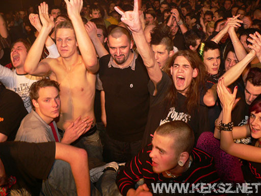 091226-1221-rozsaszin_pittbull.jpg