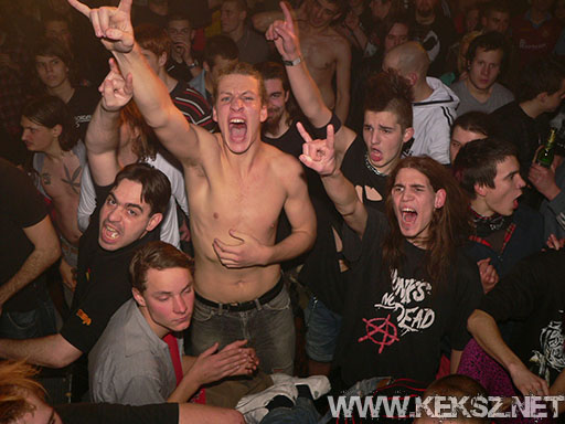 091226-1222-rozsaszin_pittbull.jpg