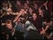 091226-1210-rozsaszin_pittbull.jpg