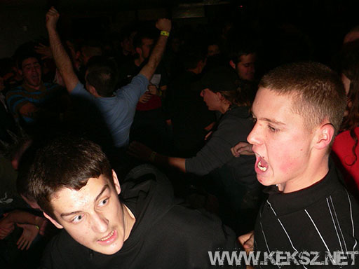 091230-1119-linx.jpg