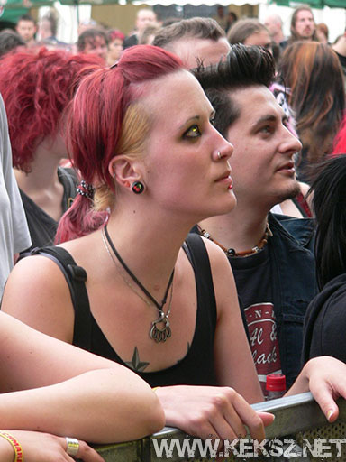 100707-1063-al_and_the_black_cats.jpg